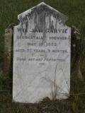 image of grave number 865508